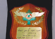 trophy